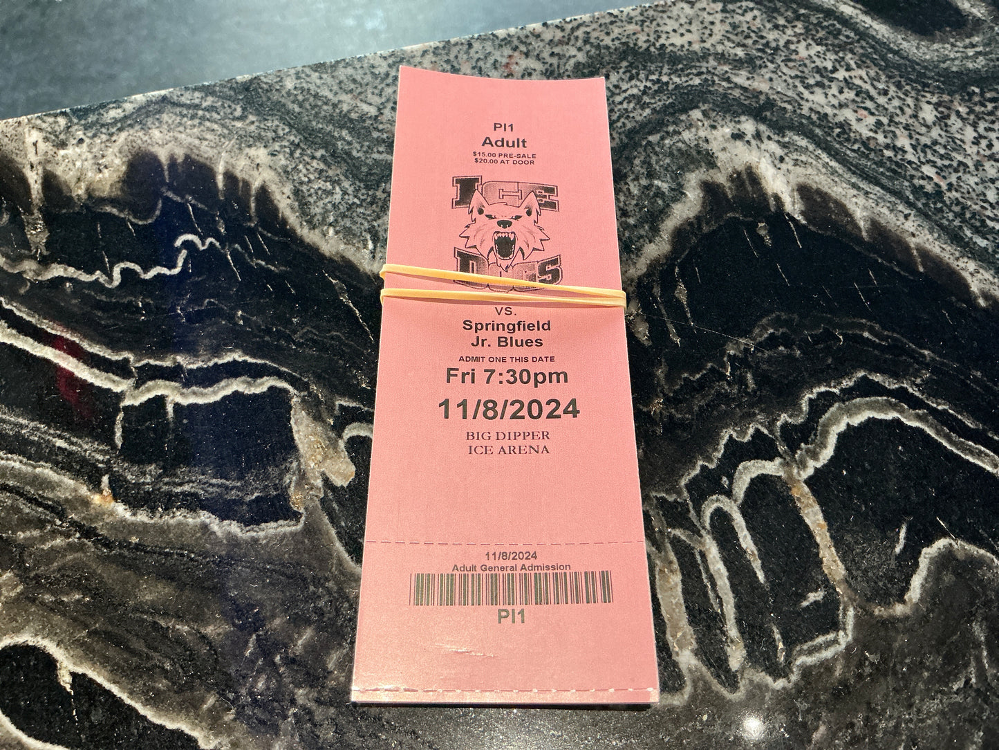 Ice Dog Ticket