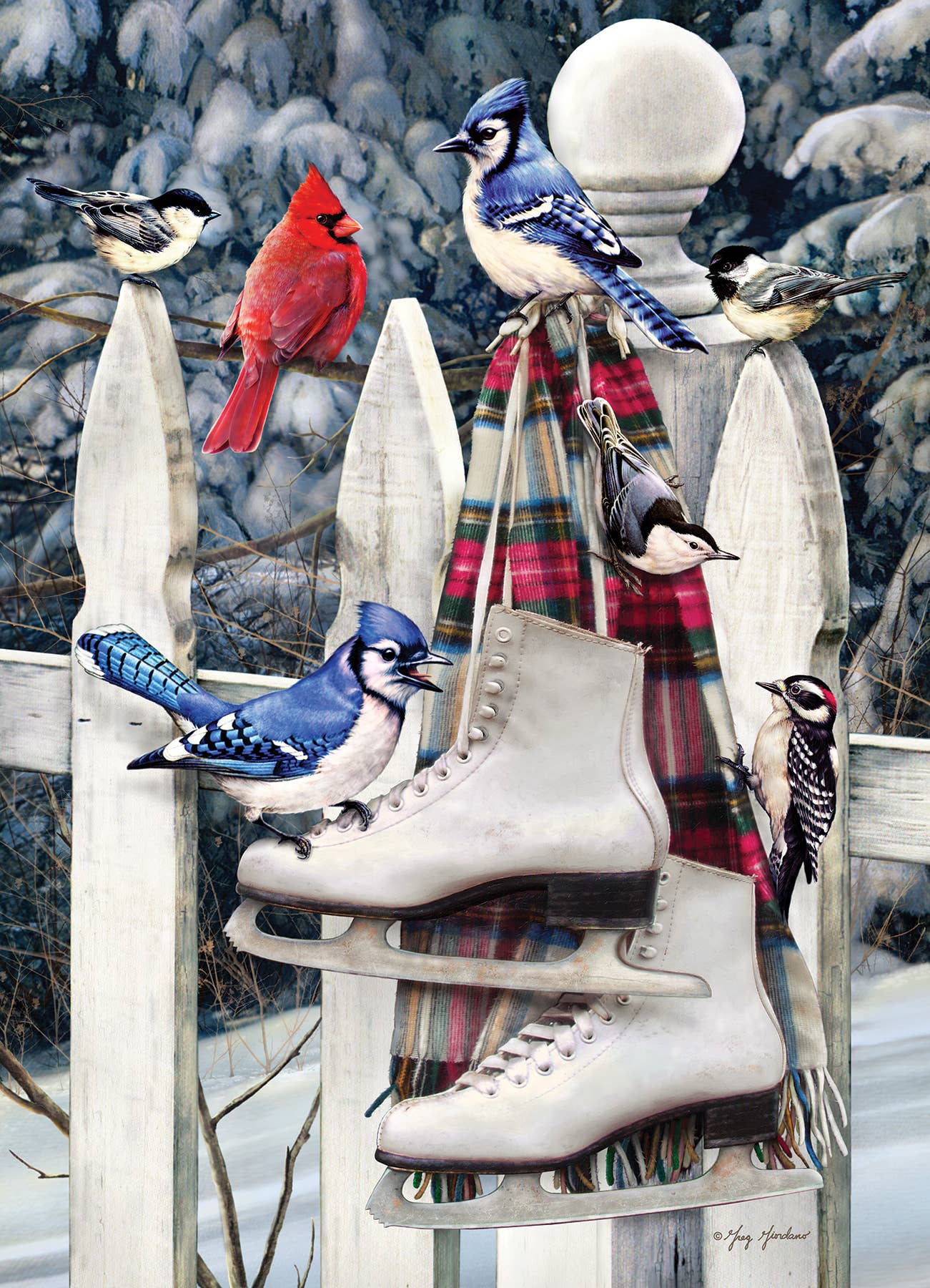 Birds with Skates 500pc puzzle