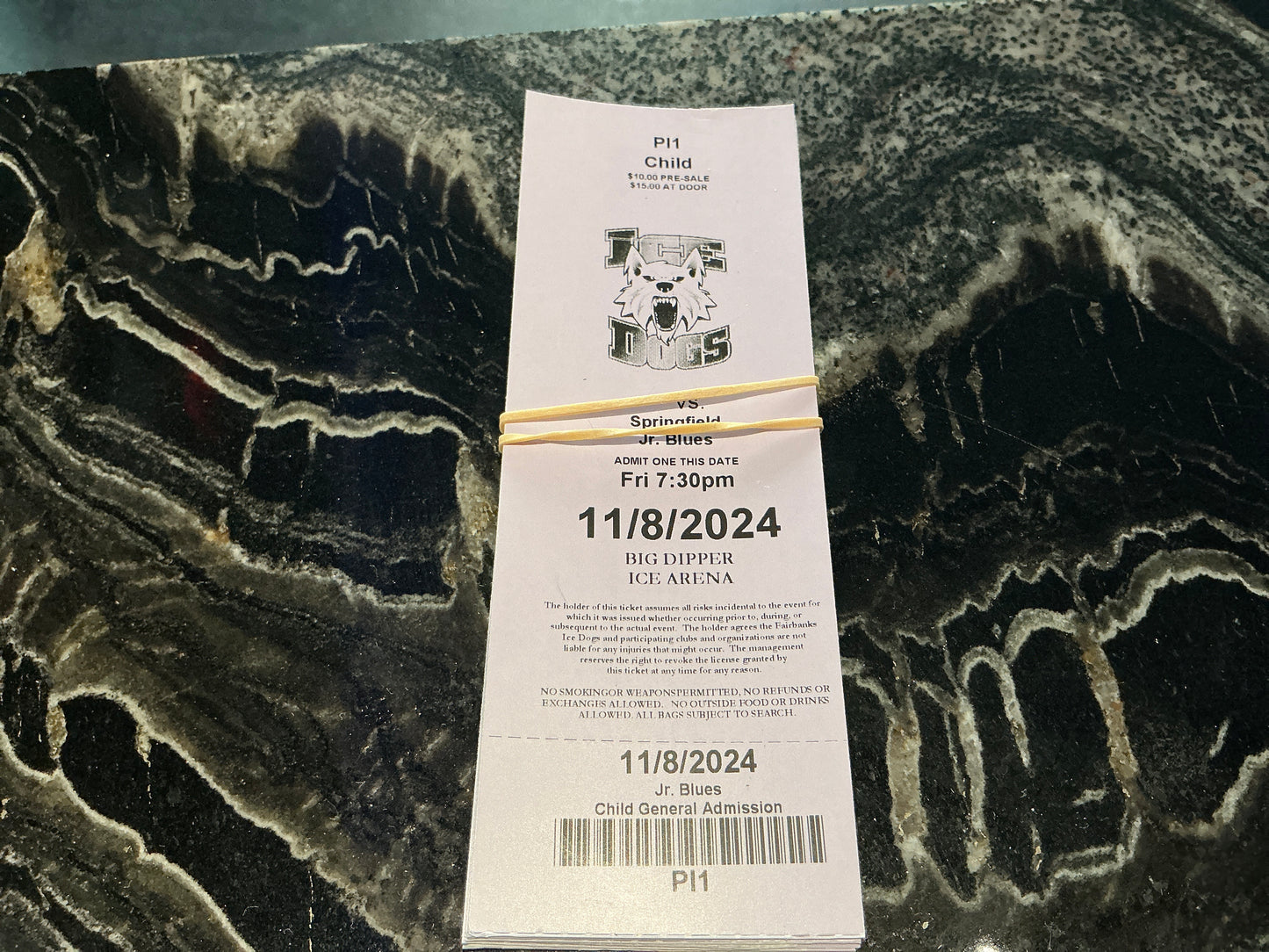 Ice Dog Ticket
