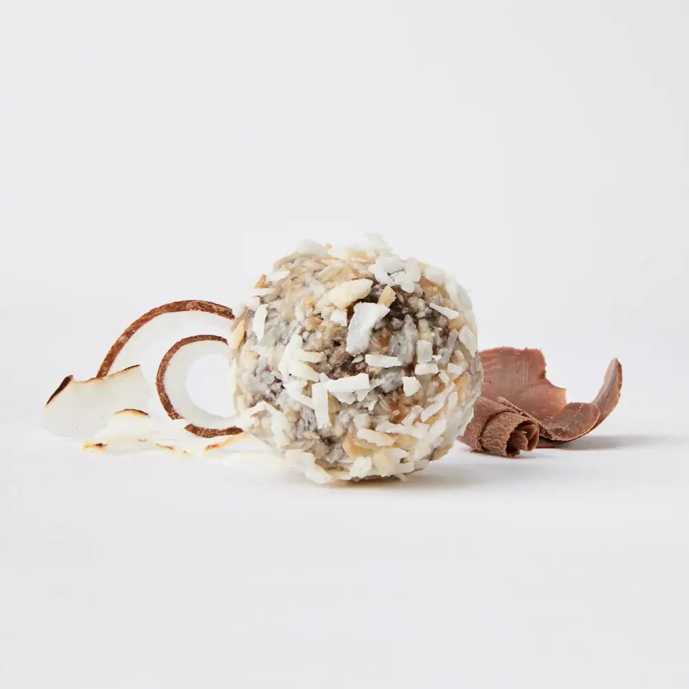 The GFB: Dark Chocolate Coconut Gluten Free Protein Bites