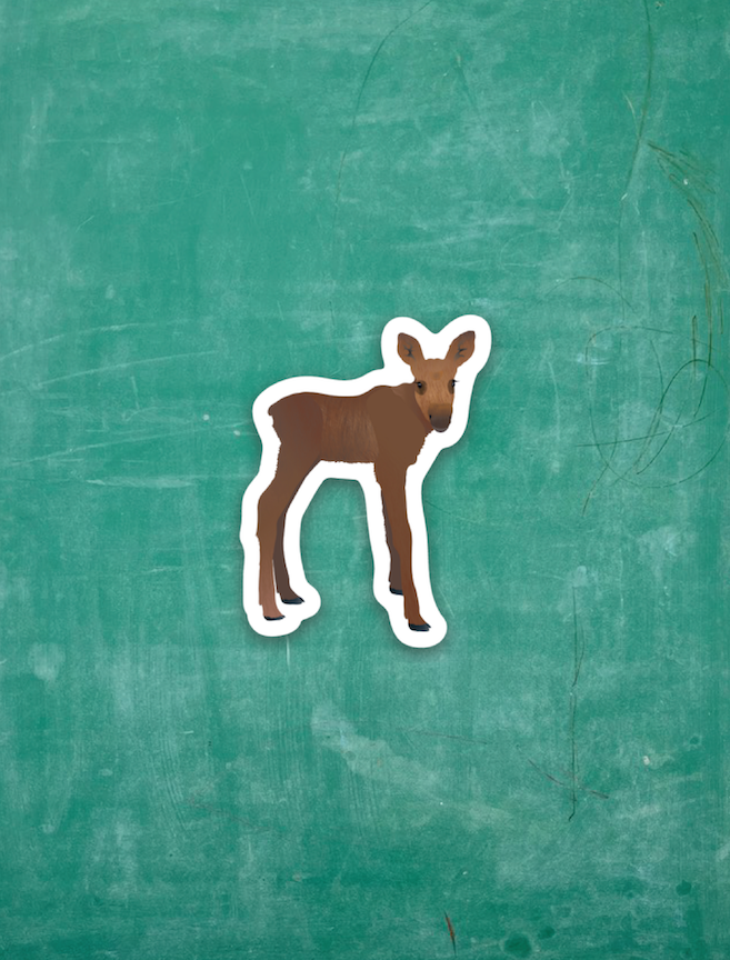 "Tiny Viny"  - Tiny Vinyl Sticker Collection