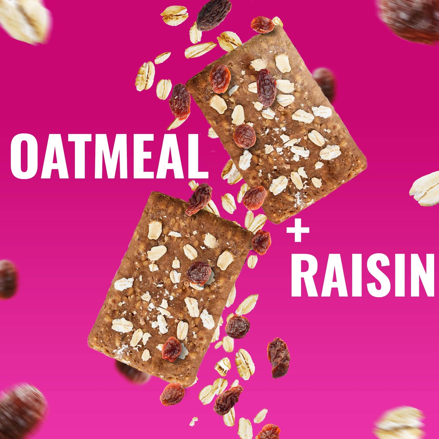 The GFB: Oatmeal Raisin Protein Nutrition Snack Bar